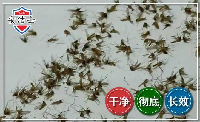长兴苍蝇防治-灭蝇