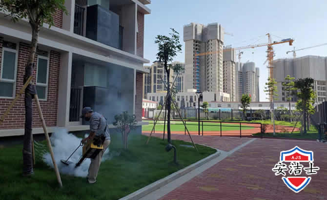 长兴工厂工地除白蚁