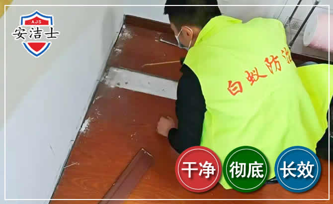 长兴除四害现场