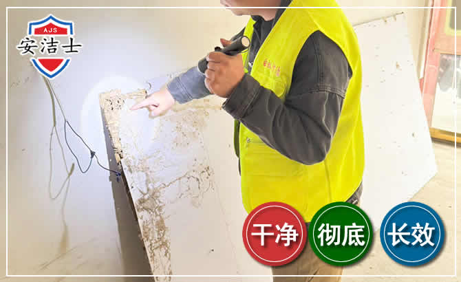 长兴除白蚁现场