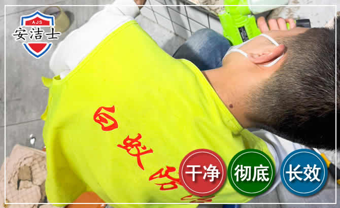 长兴白蚁根治现场